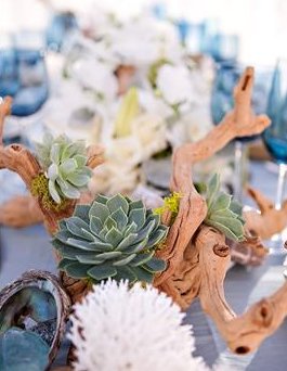 Driftwood and Succulents Centerpiece Beach Wedding